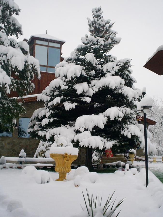 Хотел Галина Палас Srem Dış mekan fotoğraf